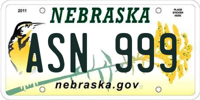 NE license plate ASN999