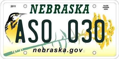 NE license plate ASO030