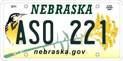 NE license plate ASO221