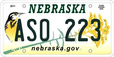 NE license plate ASO223