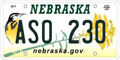 NE license plate ASO230