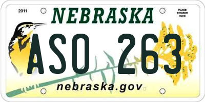 NE license plate ASO263