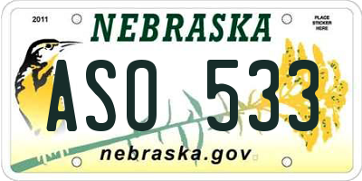 NE license plate ASO533