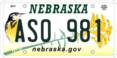 NE license plate ASO981