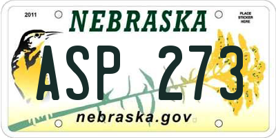 NE license plate ASP273