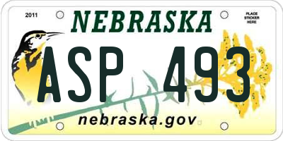 NE license plate ASP493