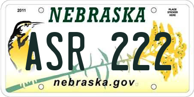 NE license plate ASR222