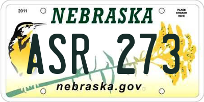 NE license plate ASR273