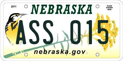 NE license plate ASS015