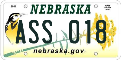 NE license plate ASS018
