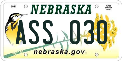 NE license plate ASS030