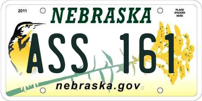 NE license plate ASS161