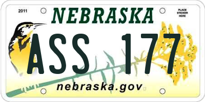 NE license plate ASS177