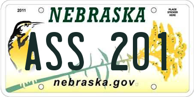 NE license plate ASS201