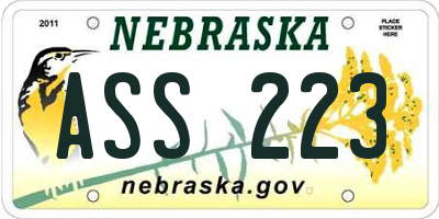 NE license plate ASS223