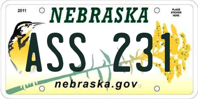 NE license plate ASS231