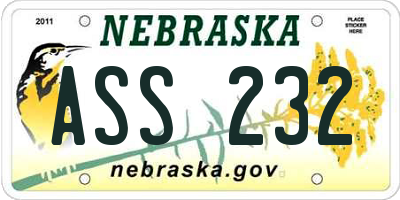 NE license plate ASS232