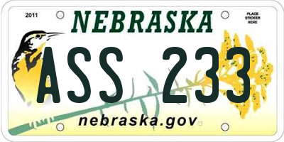 NE license plate ASS233