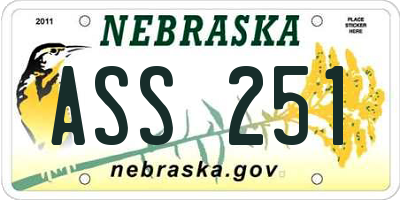 NE license plate ASS251