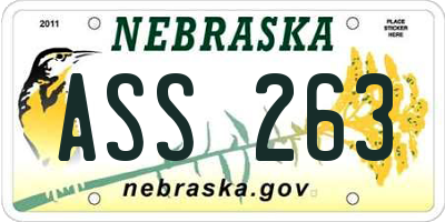 NE license plate ASS263