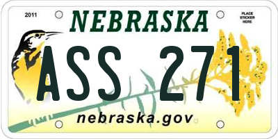 NE license plate ASS271