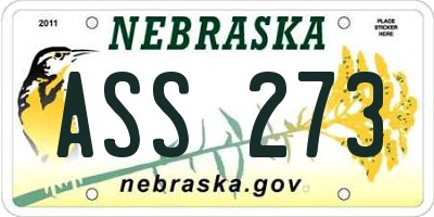 NE license plate ASS273