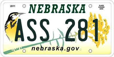 NE license plate ASS281