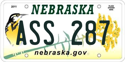 NE license plate ASS287