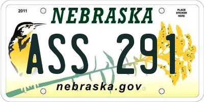 NE license plate ASS291