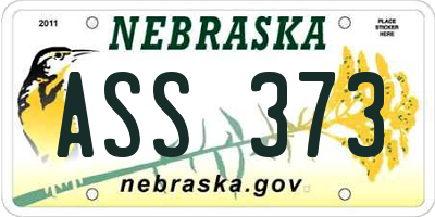 NE license plate ASS373