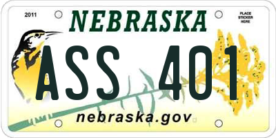 NE license plate ASS401