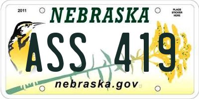 NE license plate ASS419