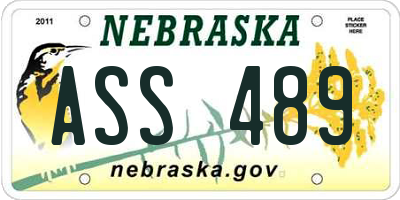 NE license plate ASS489