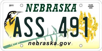 NE license plate ASS491
