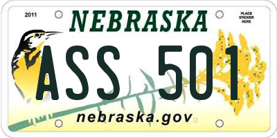 NE license plate ASS501