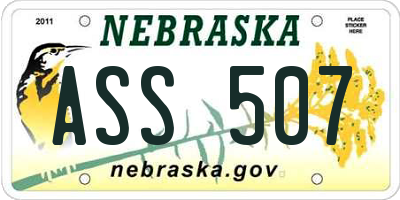 NE license plate ASS507
