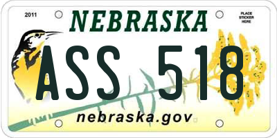 NE license plate ASS518