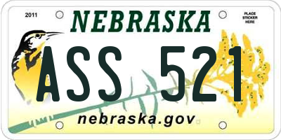 NE license plate ASS521