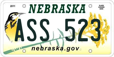NE license plate ASS523