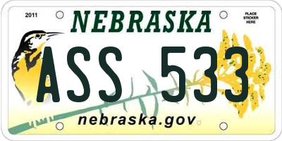 NE license plate ASS533