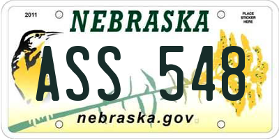 NE license plate ASS548