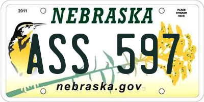 NE license plate ASS597