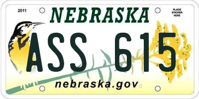 NE license plate ASS615