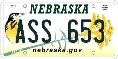 NE license plate ASS653