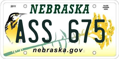 NE license plate ASS675