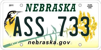 NE license plate ASS733