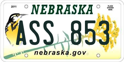 NE license plate ASS853
