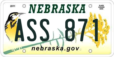 NE license plate ASS871