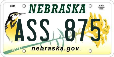 NE license plate ASS875