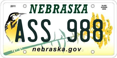 NE license plate ASS988